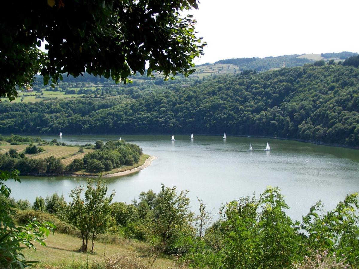 O Fil De L'Eau - Gite En Bord De Lac Saint-Jean-Saint-Maurice-sur-Loire Kültér fotó